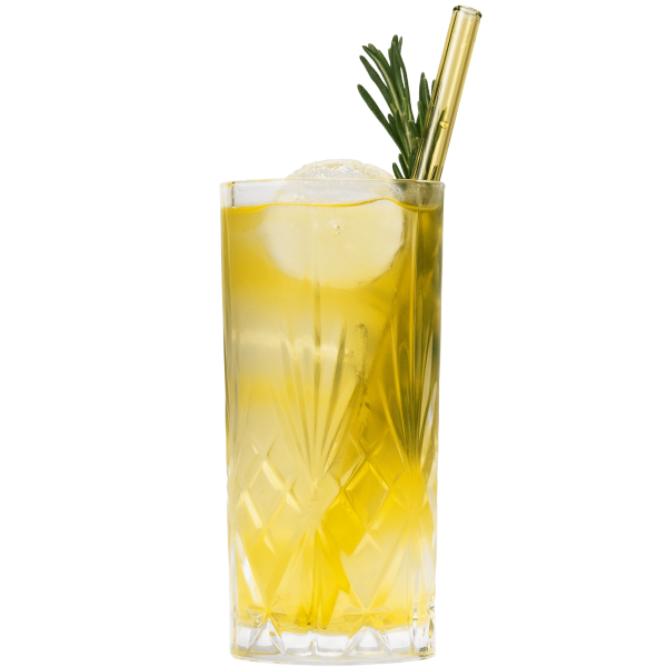 167eb7e18093cb6a880875f8498ae689a88b49c2-Sun-Tonic-Drink-2048x2048-min