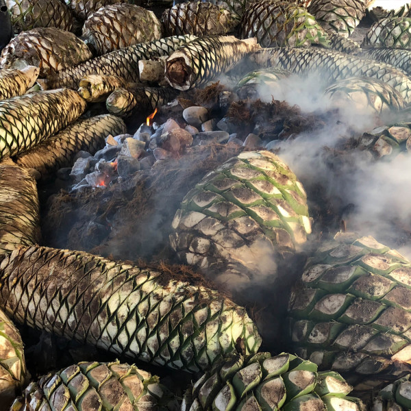 Mezcal-Mexikanische-Tradition