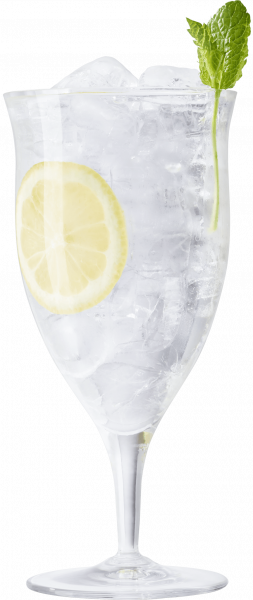 Drink Fluère Tonic alkoholfreier Gin & Tonic