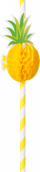 a9223cc7c48b88e37566ae0348a132cfd1557823_Ananas_Strohhalm
