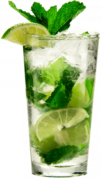 5f078b1f1bf58af87a3e27446463d6a7763eb393_Mojito