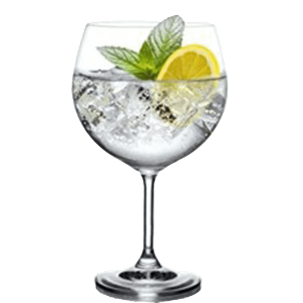 Verre gin tonic