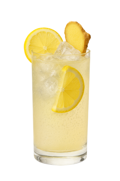 feaf9d23645d1a1c3a26713f287164dfa1d7c7d2-Ginger-Lemon-Tonic-mit-Eisw-rfeln-Photoroom
